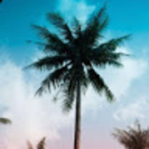 Meet your Posher, Brook